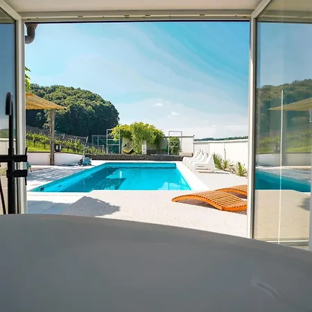 Weingut Holler Weingarten Spielfeld