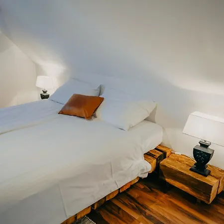 Weingut Holler Weingarten Orman Evi *