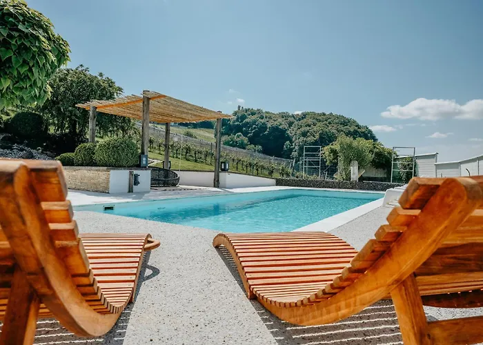 Weingut Holler Weingarten Lodge Spielfeld