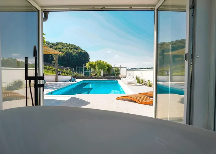 Weingut Holler Weingarten Spielfeld